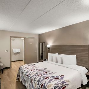 Superior  King Room Disability Access
